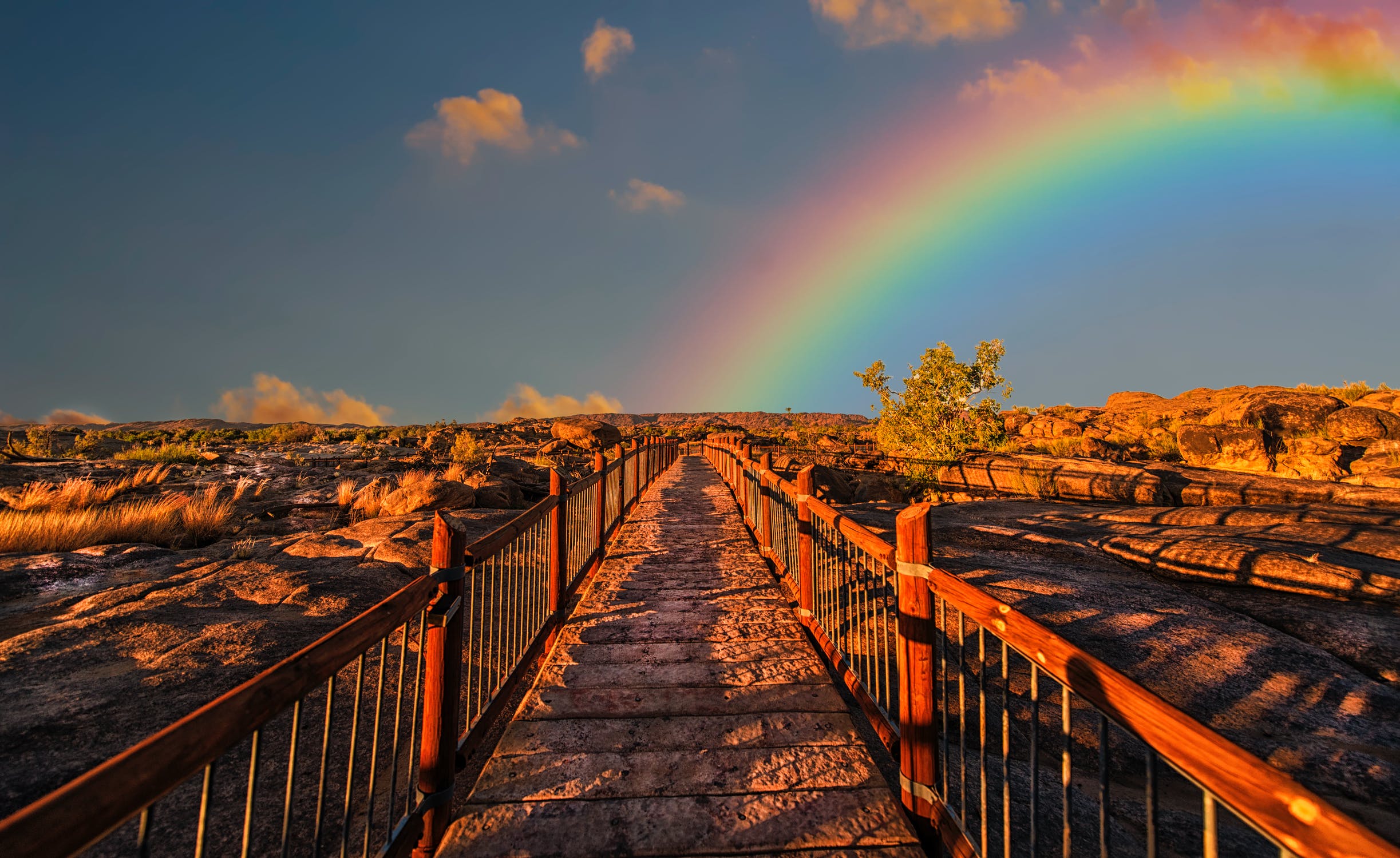 rainbow walkway